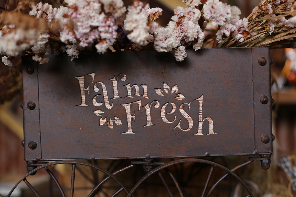 Buy Farm Fresh Flowers Mothers Day