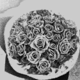 Cut Flower Bunches - Roses