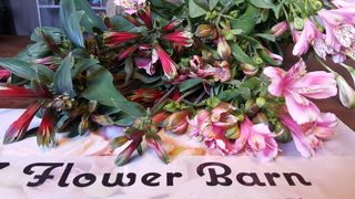 Flower Sourcing