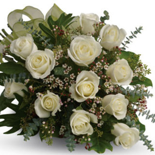 Dreamy White Roses Pure Graceful Elegant