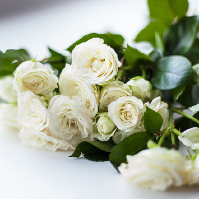 Sympathy and Funeral Flowers