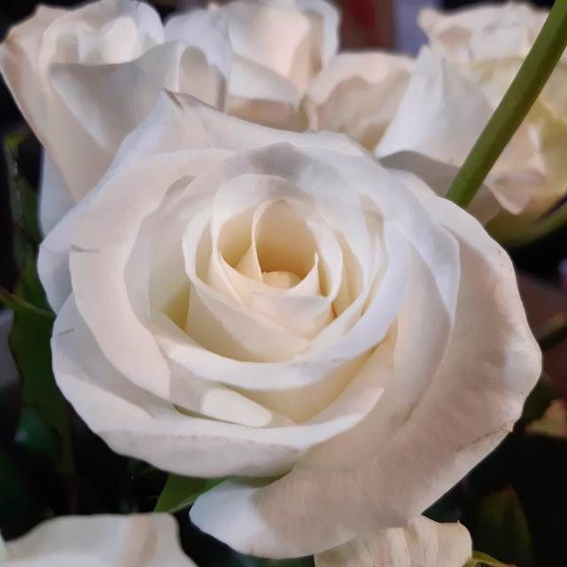 Akito Wedding Bouquet