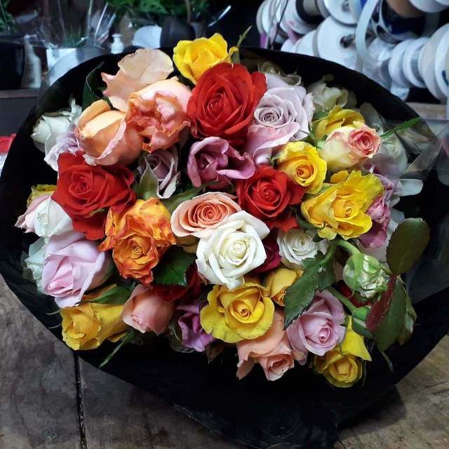 50 Long Stem Roses