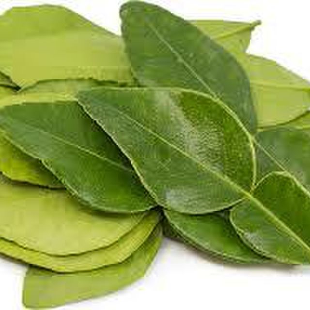 Fresh Kaffir Lime Leaves